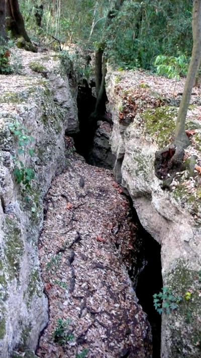 Dancing Angels, an Enchanted Forest, Old Olive Trees and Singing Bowls