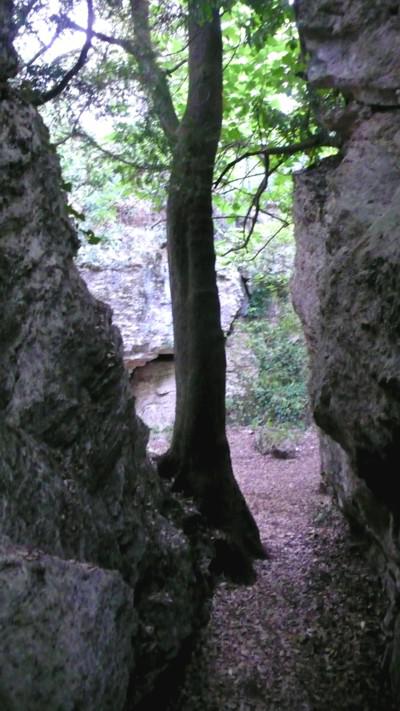 Dancing Angels, an Enchanted Forest, Old Olive Trees and Singing Bowls