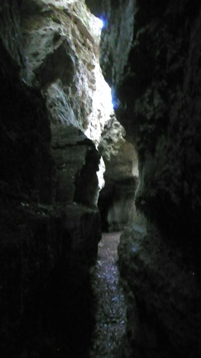 Dancing Angels, an Enchanted Forest, Old Olive Trees and Singing Bowls