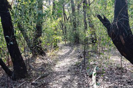 Three Creeks Walk, Steiglitz Historic Park, Victoria