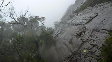 rain and mist on mount difficult range track 