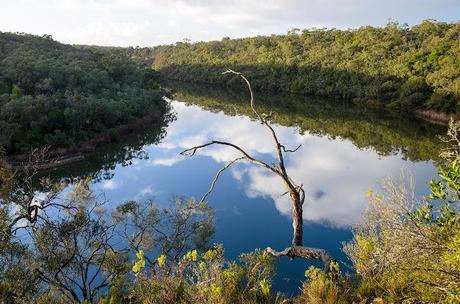 reflections on glenelg river