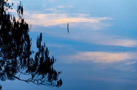 mirror reflection on water of glenelg river 