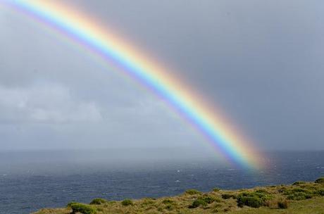 rainbow above discovery bay