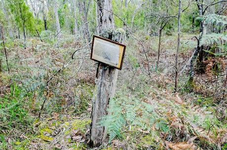 information board in cobboboonee state forest
