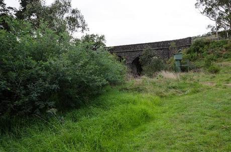 bulla bridge hidden behind trees