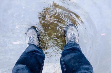 standing in jacksons creek