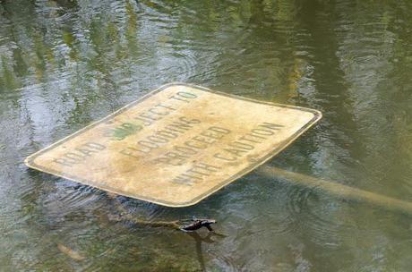 flooding warning sign lying in water