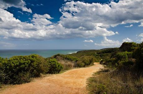 surf coast trail