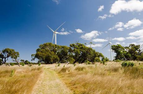 wonthaggi wind farm
