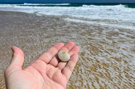 holding smooth stone at baxters beach