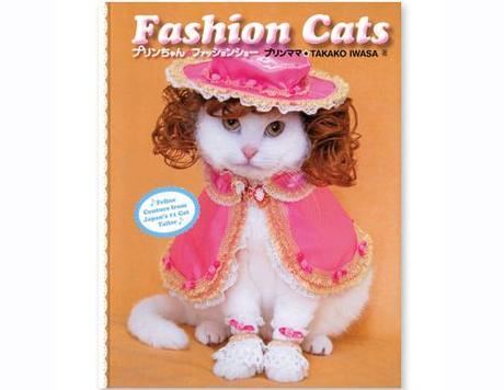 Fashion Cats