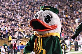 Oregon Duck