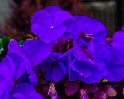 Blue green yellow orange red