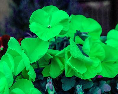 Blue green yellow orange red