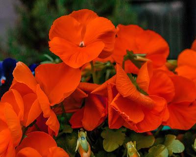 Blue green yellow orange red