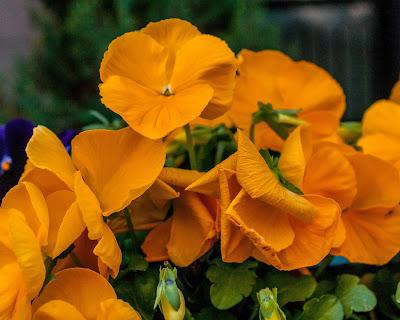 Blue green yellow orange red