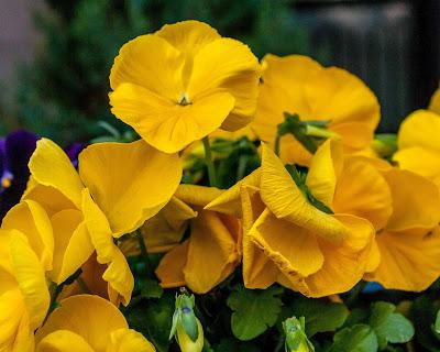 Blue green yellow orange red