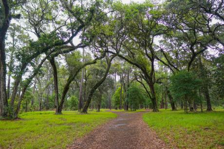 Sea Pines Forest Preserve is Worth the Admission Fee