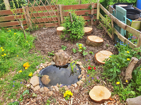 Allotments can help you grow yourself, not just fruit and veg.