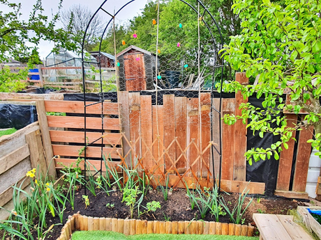 Allotments can help you grow yourself, not just fruit and veg.
