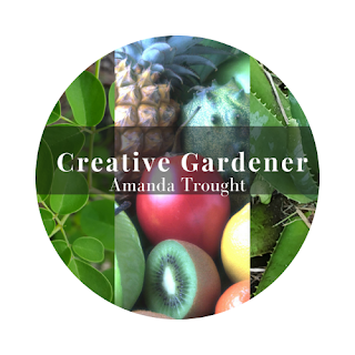 Creative Gardener - Harvesting Cassava