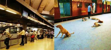 11 Ways In Which Delhi Metro Kicks Mumbai Local’s Ass