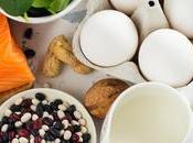 High-protein Diets Option, Only Option