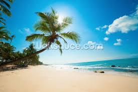 1024 x 768 jpeg 140 кб. Beach Wallpaper Tropical Beach Wall Murals Wallsauce Uk