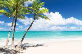 Download hd beach wallpapers best collection. Tropical Beach Scene Wallpaper Mural Beach Wall Murals Eazywallz