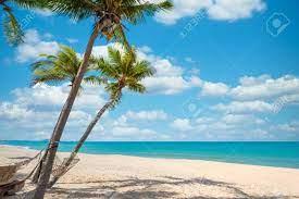 Most of these pictures feature beautiful beach scenes with people, sand, ocean and palm trees and make excellent hd desktop wallpapers. Exotic Tropical Beach Landscape For Background Or Wallpaper Stock Photo Picture And Royalty Free Image Image 145000486