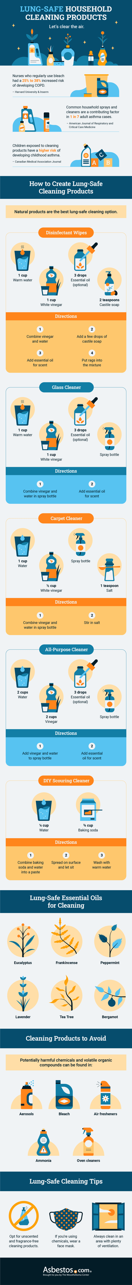 DIY Lung-Safe Cleaning Solutions for Your Home (Infographic)