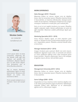 Resume Templates For 2021 Free Download Freesumes