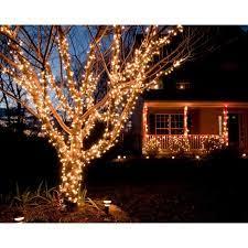 The koopower led outdoor battery fairy lights are powered by three aa batteries. Indoor And Outdoor Battery Operated 400 Led Lights Scotts Of Stow