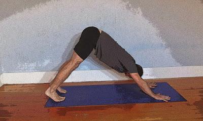 Strengthening Pose of the Week: Downward-Facing Dog Pose