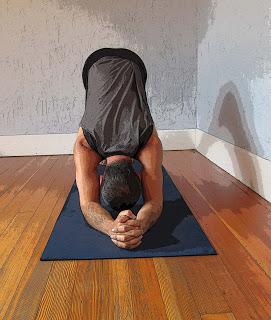 Strengthening Pose of the Week: Downward-Facing Dog Pose