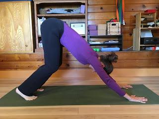 Strengthening Pose of the Week: Downward-Facing Dog Pose