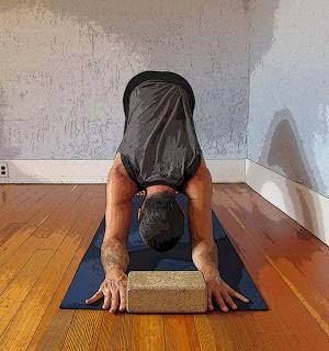 Strengthening Pose of the Week: Downward-Facing Dog Pose