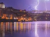 Lightning Kills Elephants Assam