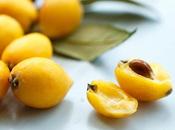 Loquat