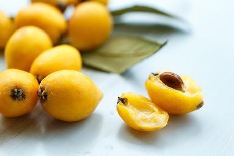 LOQUAT LOQUAT