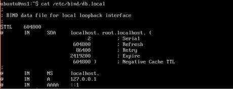 db local bind image db local bind