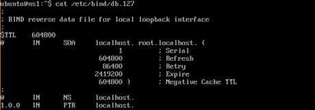 Bind db image Bind db