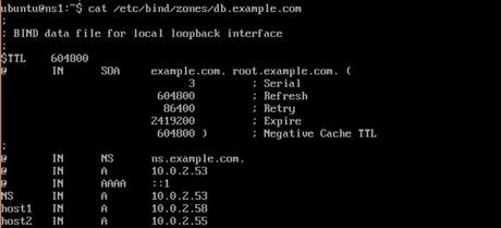 bind zone image bind zone