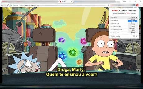Add netflix subtitle extension Add netflix subtitle extension