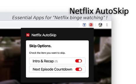 auto skip intro on Netflix extension auto skip intro on Netflix extension