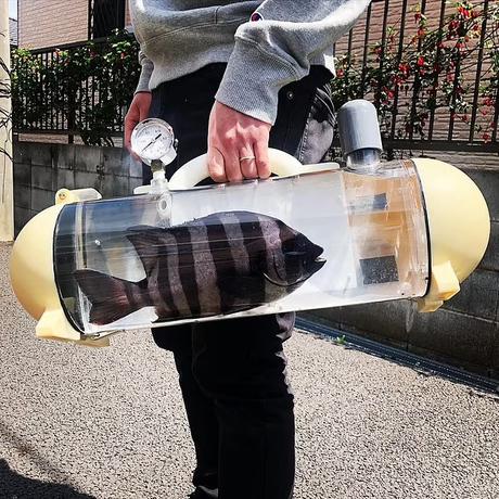 Aquarium - 'Katsugyo' bags .. .. portable tanks for live fish carriage !!