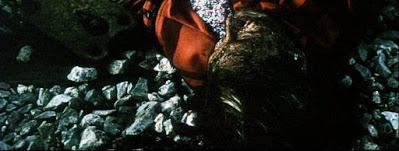 263. Mexican film director Carlos Reygadas’ debut film “Japón” (Japan) (2002), based on his original screenplay: Fascinating debut of the talented duo of film director Reygadas and his Argentine cinematographer Diego Martinez Vignatti