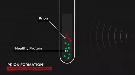 protein misfolding cyclic amplification protein misfolding cyclic amplification
