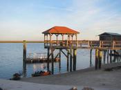 Kayaking Tybee Island with Kayak Georgia Must